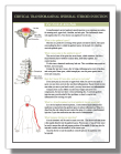 Cervical Facet Pain Patterns