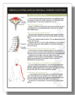 Cervical Interlaminar Epidural Steiroid Injection