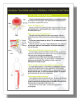 Lumbar ESI